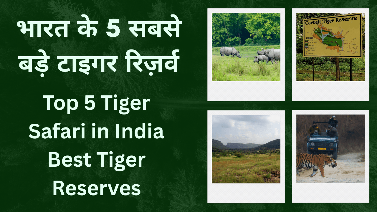 टाइगर रिज़र्व