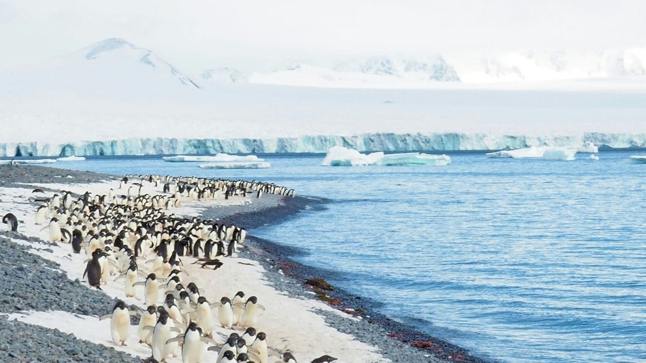 अंटार्कटिका महाद्वीप