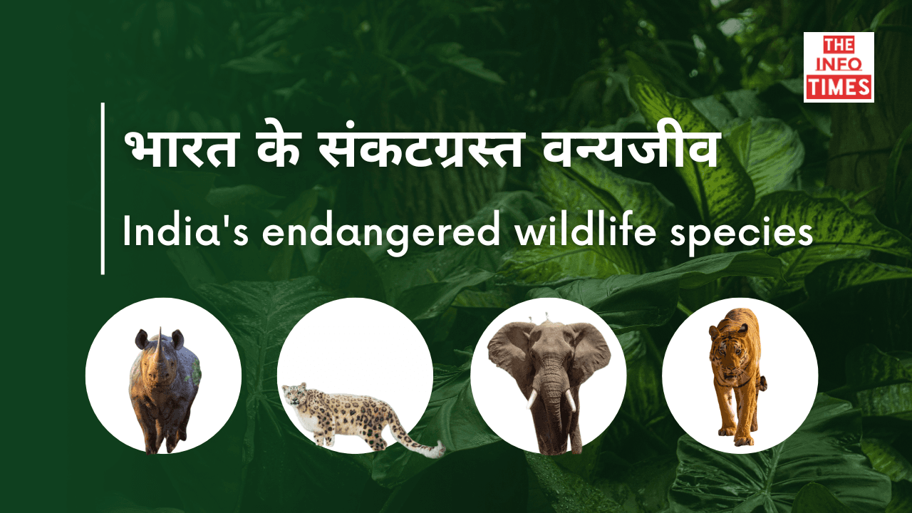 भारत के संकटग्रस्त वन्यजीव