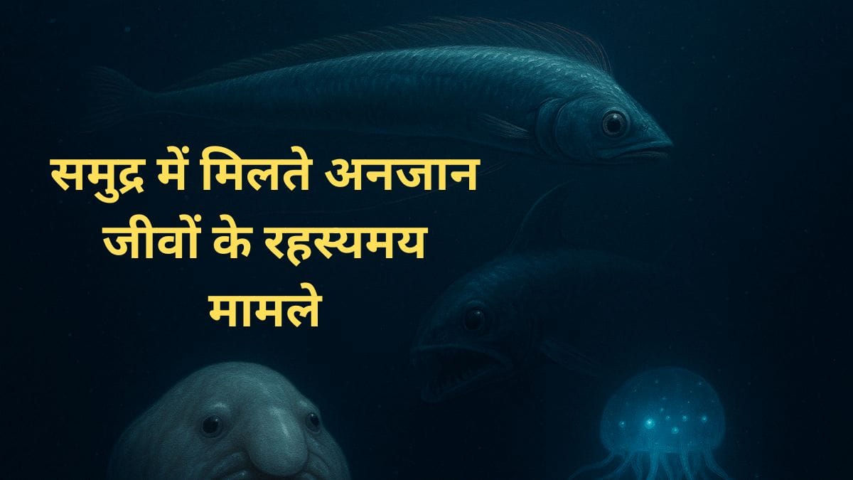 समुद्र में मिलते अनजान जीव