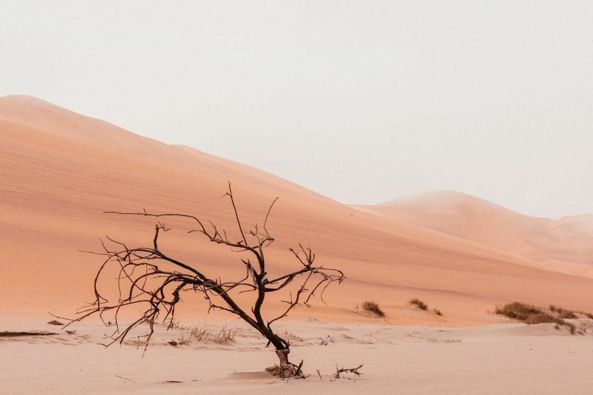 रेगिस्तान कैसे बनते है