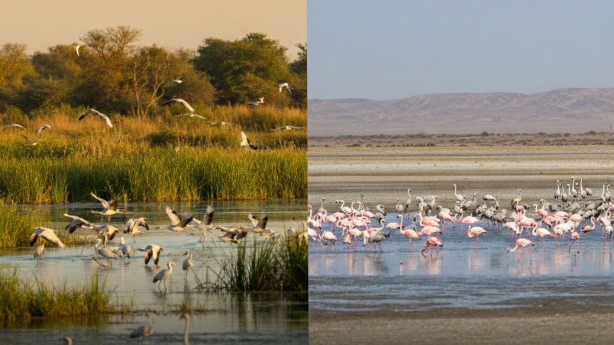 New Ramsar Sites India 2026