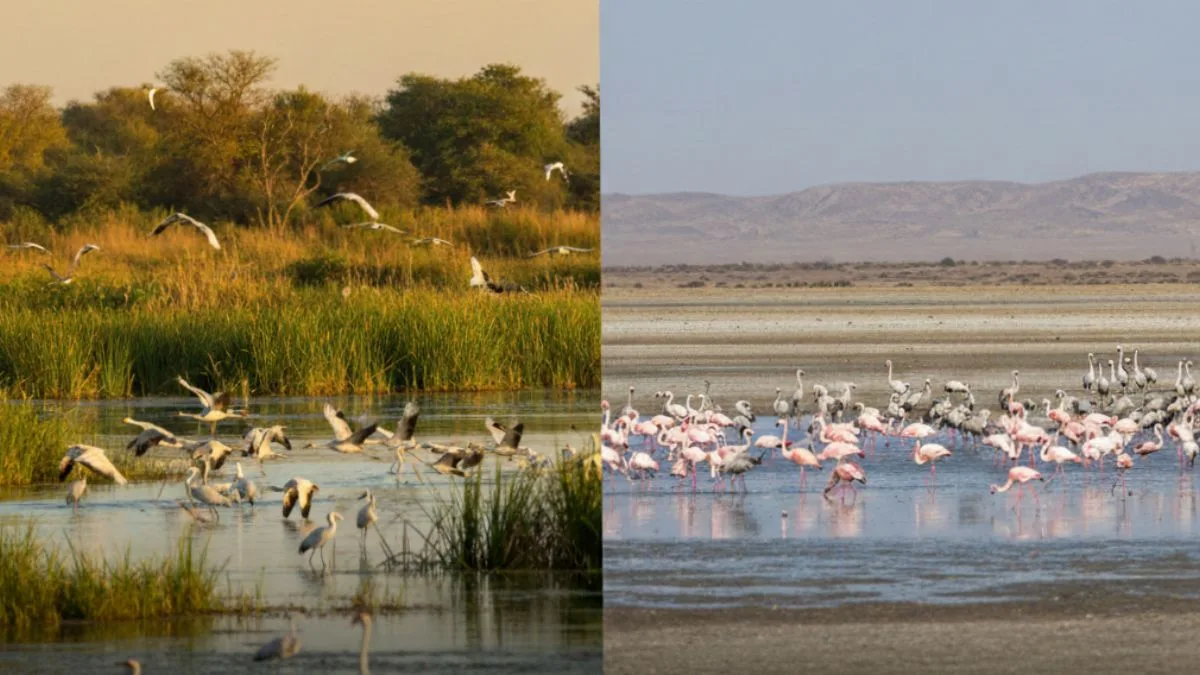 New Ramsar Sites India 2026