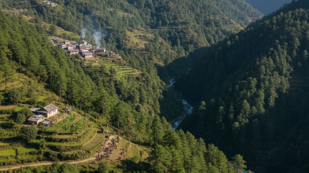 nepal community forestry