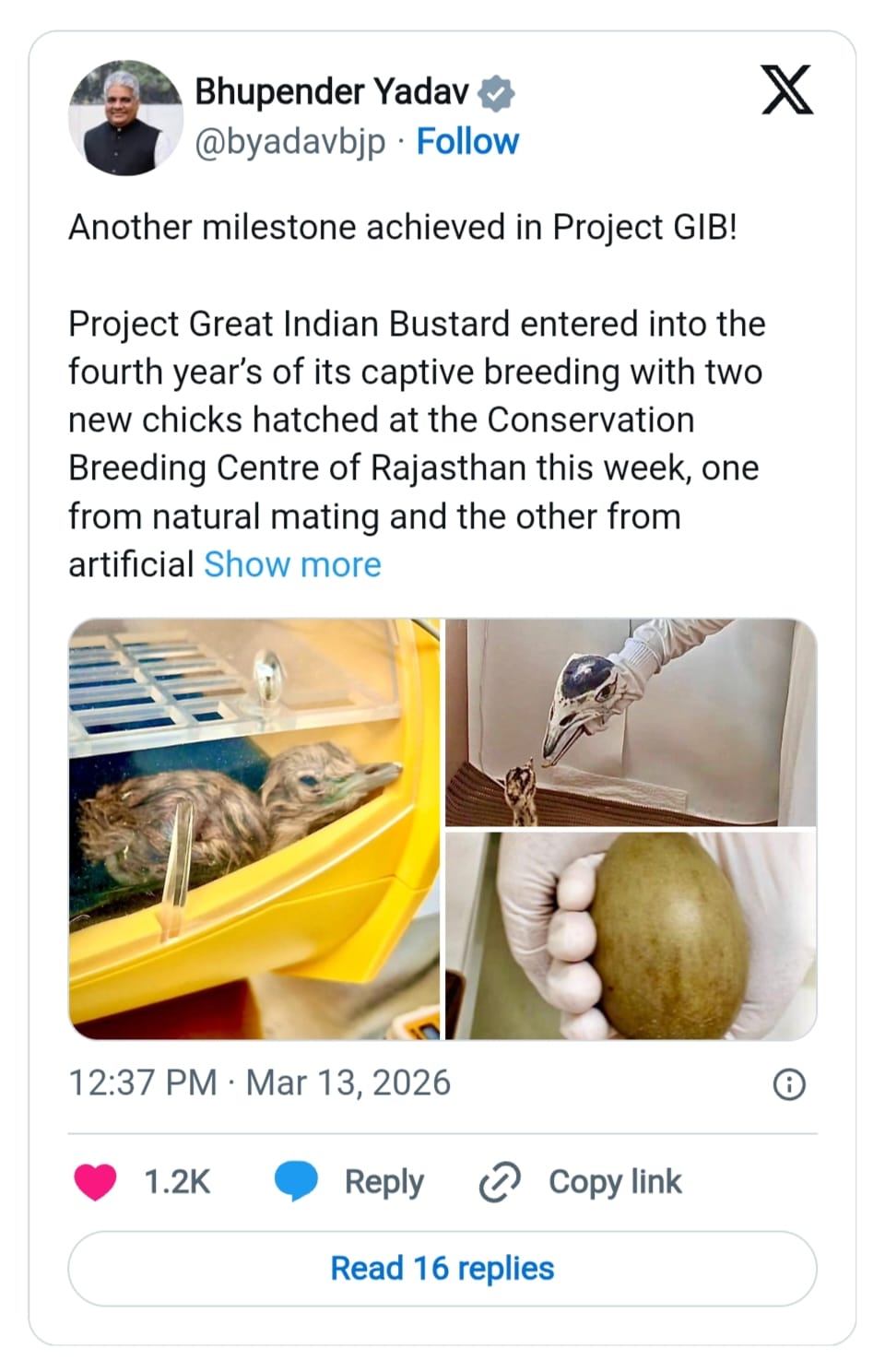 ग्रेट इंडियन बस्टर्ड संरक्षण