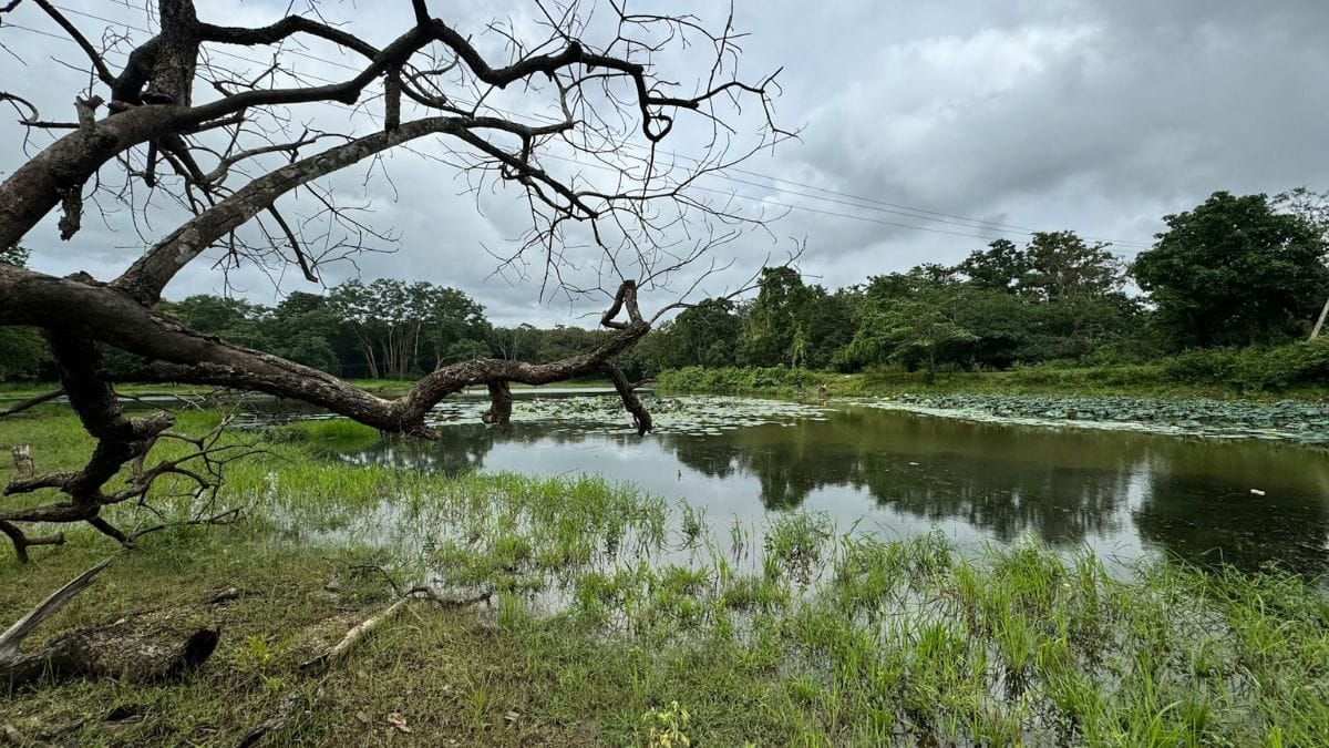 NBA ने आक्रामक विदेशी प्रजातियों पर विशेषज्ञ समिति का गठन किया