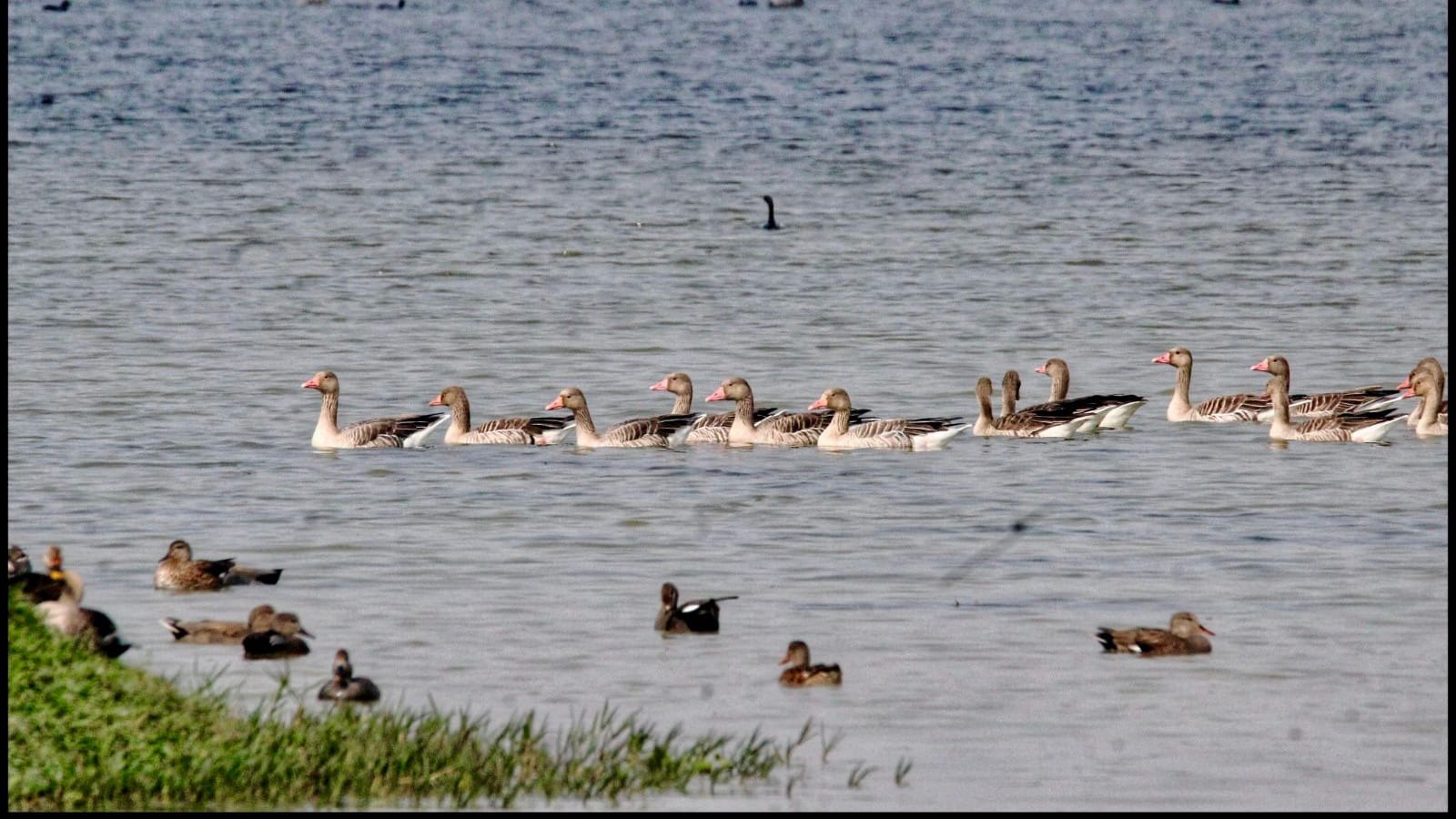 Shekha Jheel Ramsar Site