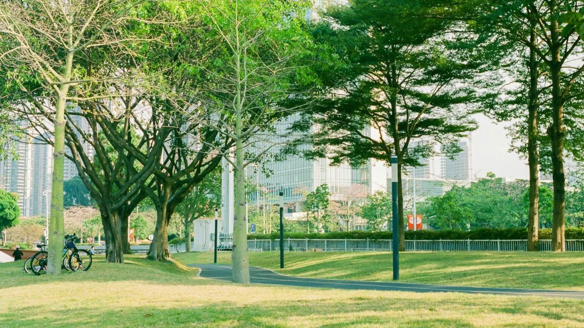 Urban Heat Island